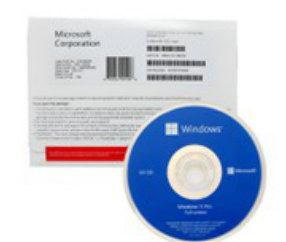 Windows 11 Pro OEM